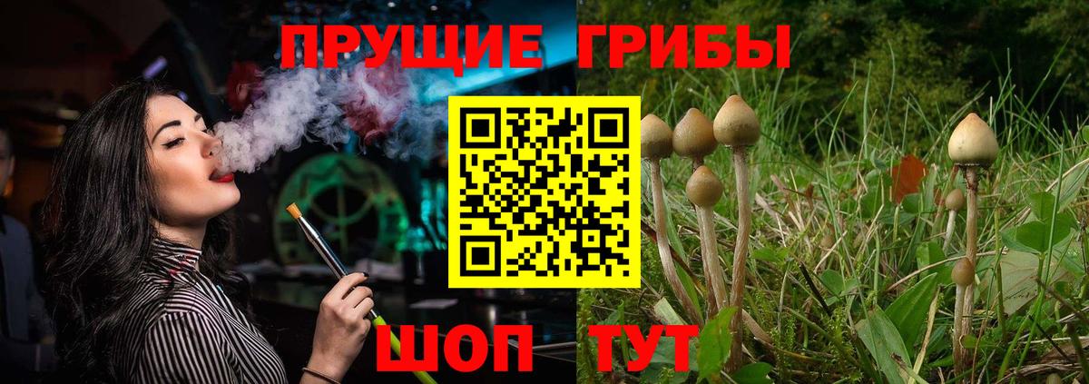 Пенза  Псилоцибиновые грибы мицелий  Вход с VPN 