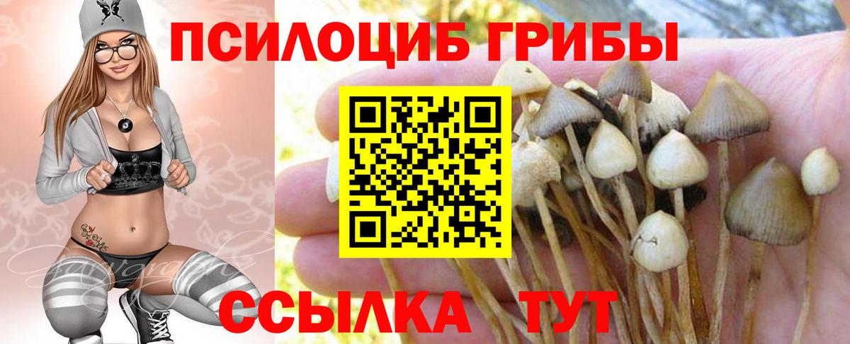Галлюциногенные грибы GOLDEN TEACHER Пенза